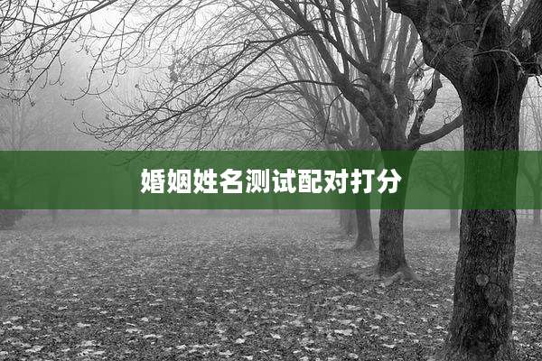 婚姻姓名测试配对打分