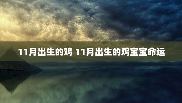 11月出生的鸡 11月出生的鸡宝宝命运