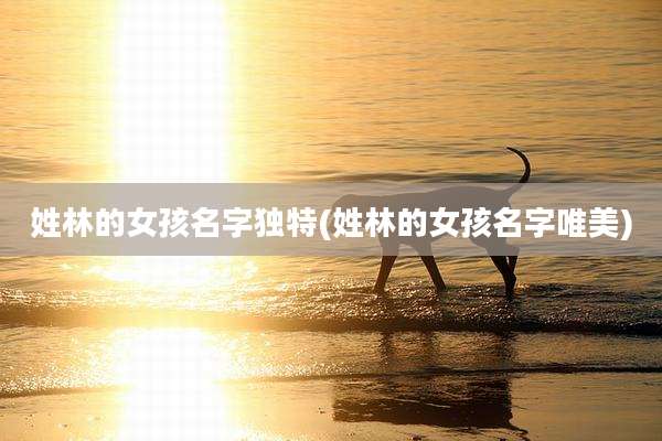 姓林的女孩名字独特(姓林的女孩名字唯美)