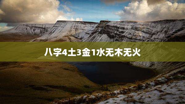 八字4土3金1水无木无火