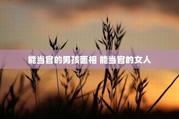 能当官的男孩面相 能当官的女人