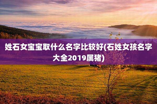 姓石女宝宝取什么名字比较好(石姓女孩名字大全2019属猪)