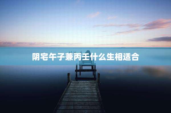 阴宅午子兼丙壬什么生相适合