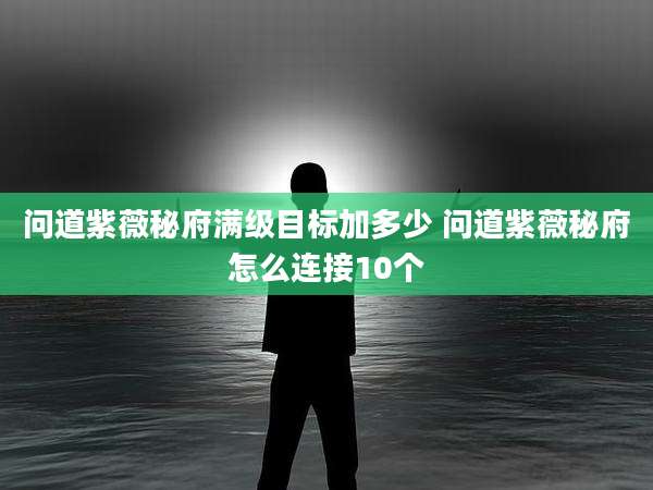 问道紫薇秘府满级目标加多少 问道紫薇秘府怎么连接10个