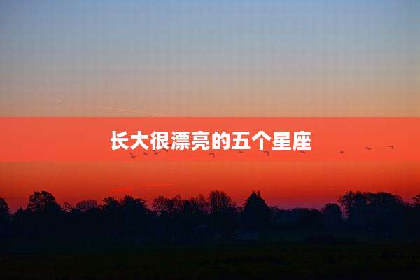 长大很漂亮的五个星座