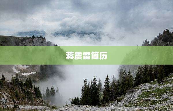 蒋震雷简历
