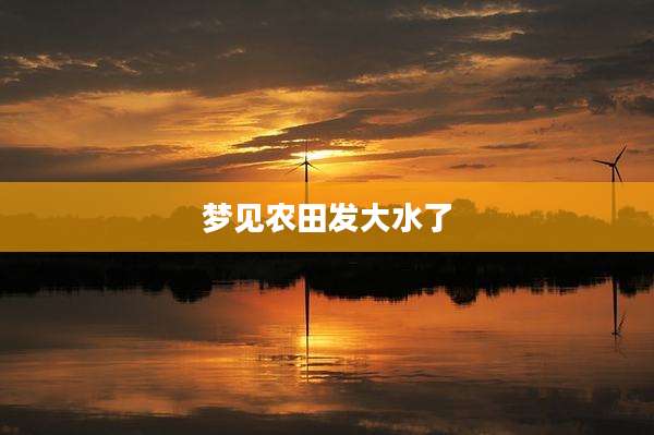 梦见农田发大水了