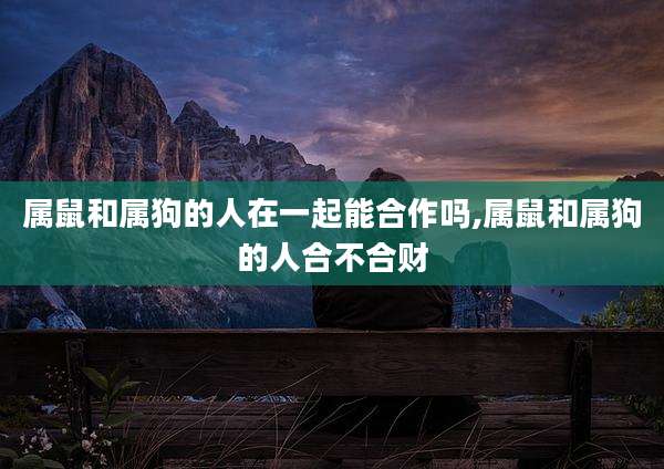 属鼠和属狗的人在一起能合作吗,属鼠和属狗的人合不合财