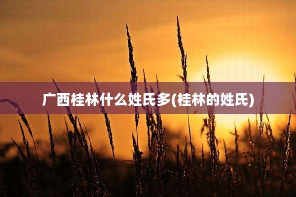 广西桂林什么姓氏多(桂林的姓氏)