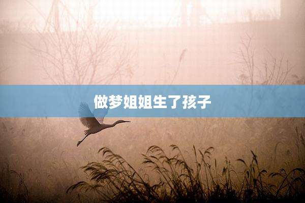 做梦姐姐生了孩子