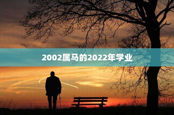 2002属马的2022年学业