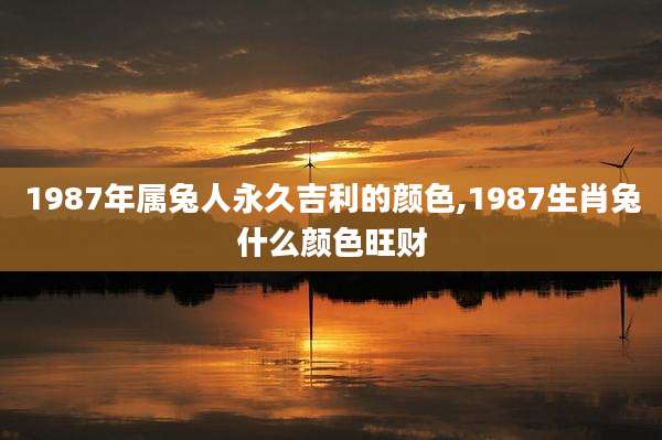1987年属兔人永久吉利的颜色,1987生肖兔什么颜色旺财
