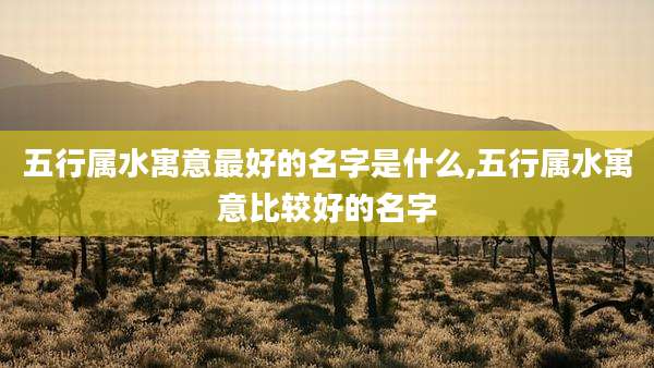 五行属水寓意最好的名字是什么,五行属水寓意比较好的名字