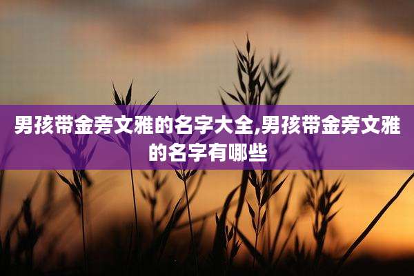 男孩带金旁文雅的名字大全,男孩带金旁文雅的名字有哪些