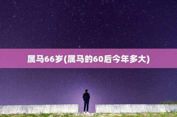 属马66岁(属马的60后今年多大)