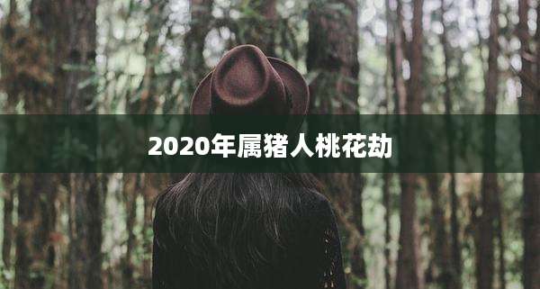 2020年属猪人桃花劫