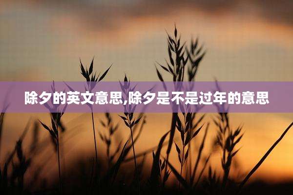 除夕的英文意思,除夕是不是过年的意思