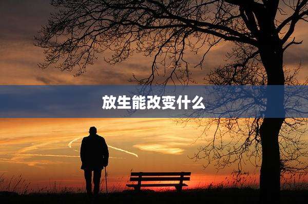放生能改变什么