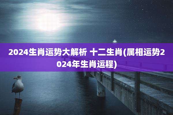 2024生肖运势大解析 十二生肖(属相运势2024年生肖运程)