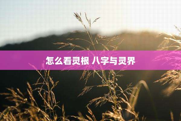 怎么看灵根 八字与灵界