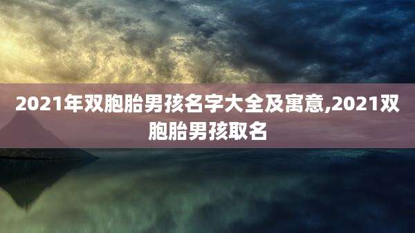 2021年双胞胎男孩名字大全及寓意,2021双胞胎男孩取名