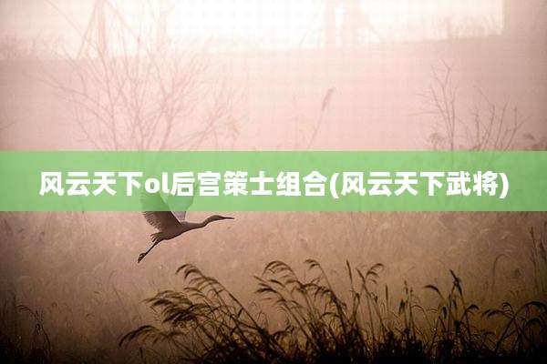 风云天下ol后宫策士组合(风云天下武将)