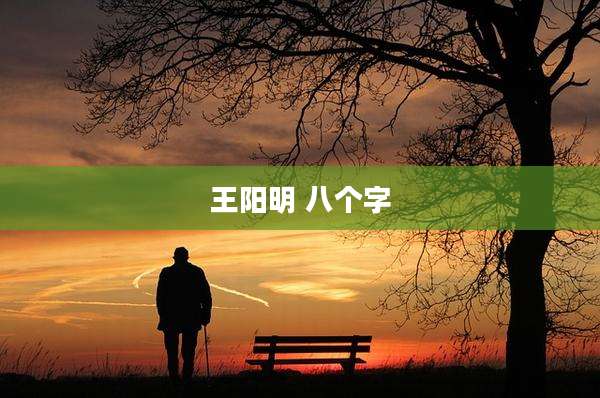 王阳明 八个字