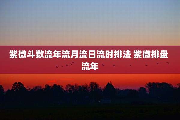紫微斗数流年流月流日流时排法 紫微排盘 流年