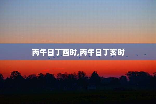 丙午日丁酉时,丙午日丁亥时