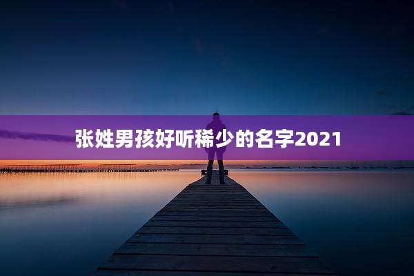 张姓男孩好听稀少的名字2021