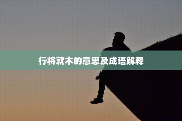 行将就木的意思及成语解释