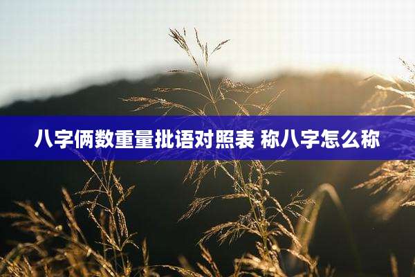 八字俩数重量批语对照表 称八字怎么称