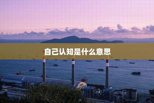 自己认知是什么意思