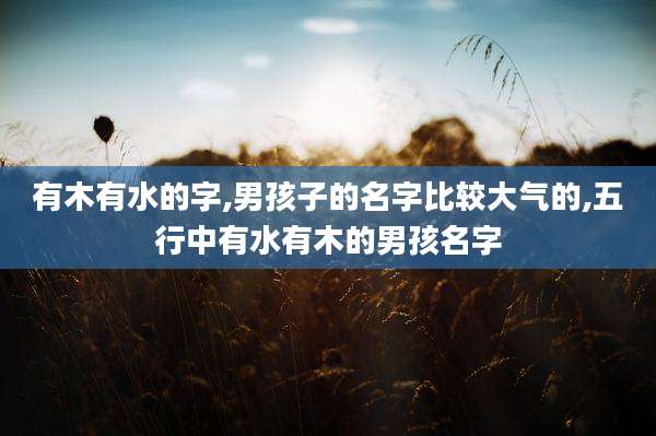有木有水的字,男孩子的名字比较大气的,五行中有水有木的男孩名字