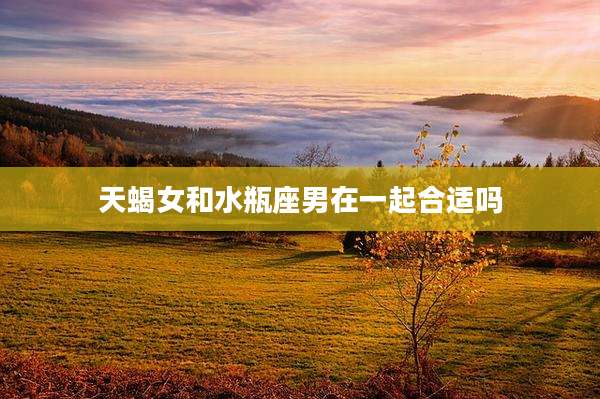 天蝎女和水瓶座男在一起合适吗