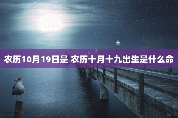 农历10月19日是 农历十月十九出生是什么命