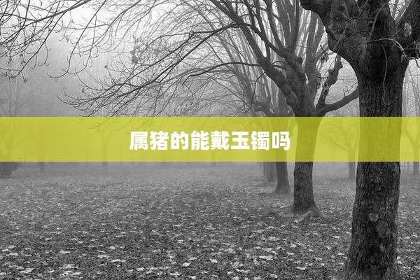 属猪的能戴玉镯吗