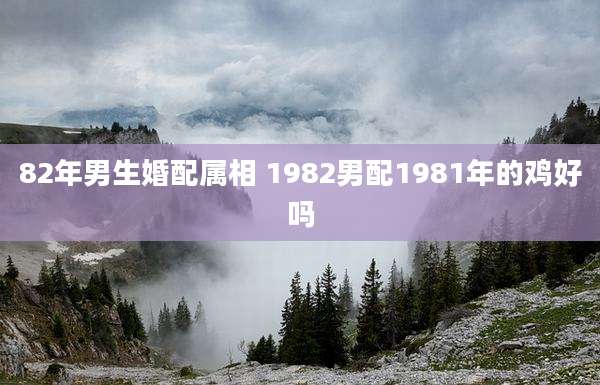 82年男生婚配属相 1982男配1981年的鸡好吗