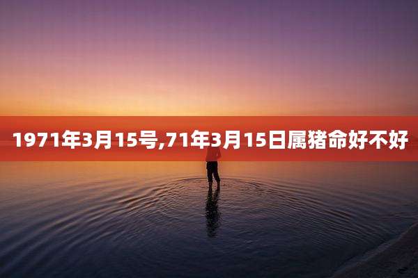 1971年3月15号,71年3月15日属猪命好不好