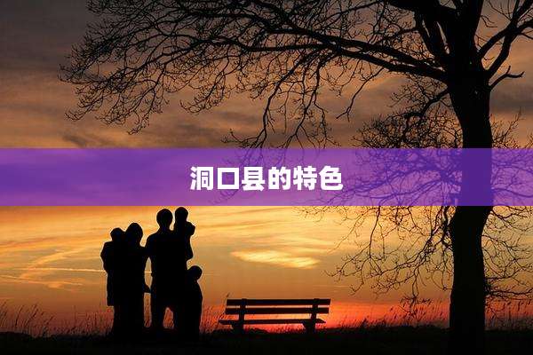 洞口县的特色