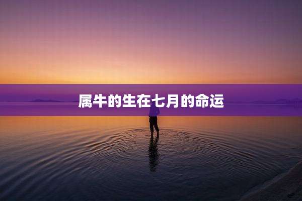 属牛的生在七月的命运