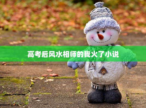 高考后风水相师的我火了小说