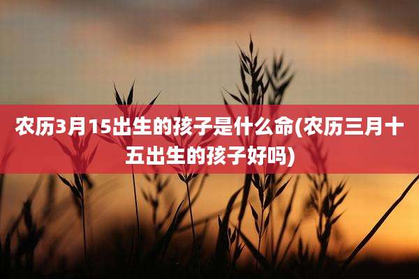 农历3月15出生的孩子是什么命(农历三月十五出生的孩子好吗)