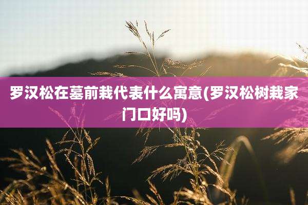 罗汉松在墓前栽代表什么寓意(罗汉松树栽家门口好吗)