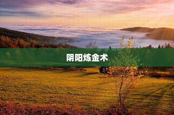 阴阳炼金术