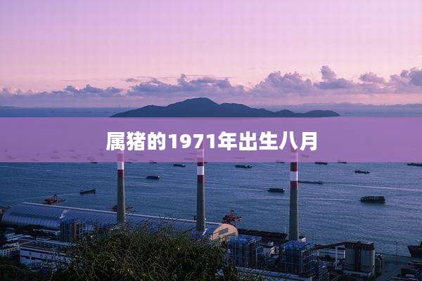 属猪的1971年出生八月