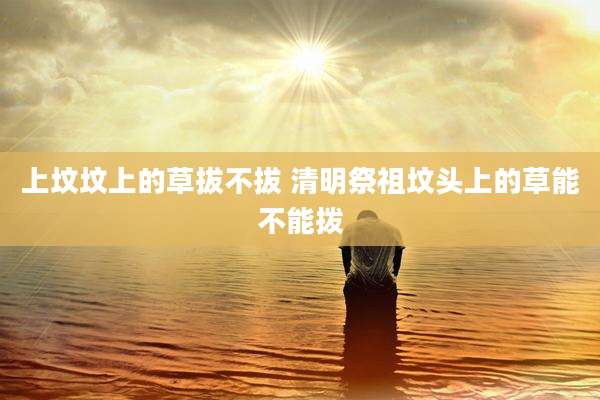 上坟坟上的草拔不拔 清明祭祖坟头上的草能不能拨