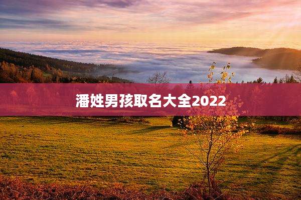 潘姓男孩取名大全2022