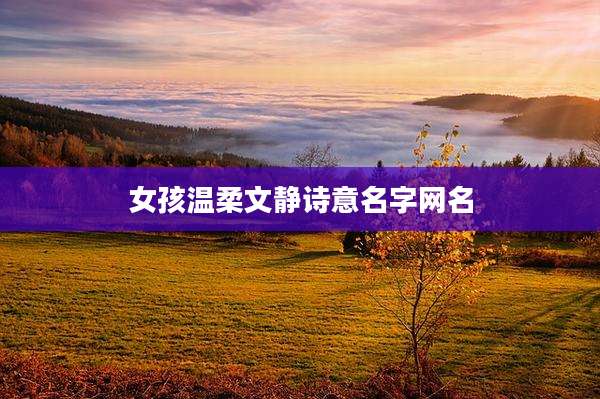 女孩温柔文静诗意名字网名