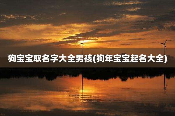 狗宝宝取名字大全男孩(狗年宝宝起名大全)